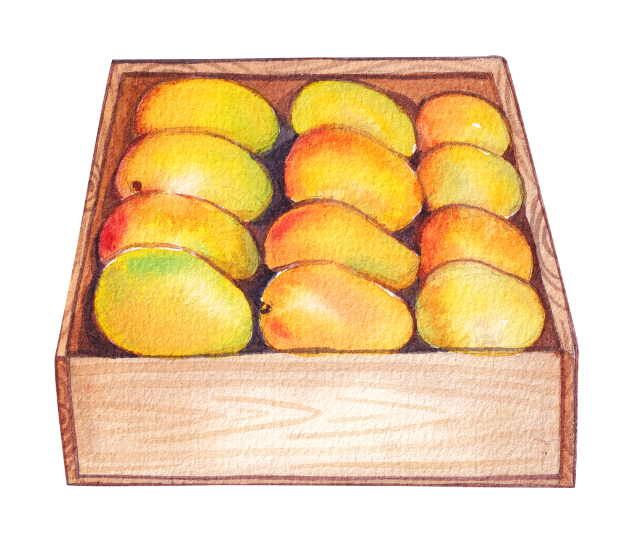 Buy Fresh Organic Mangoes Online